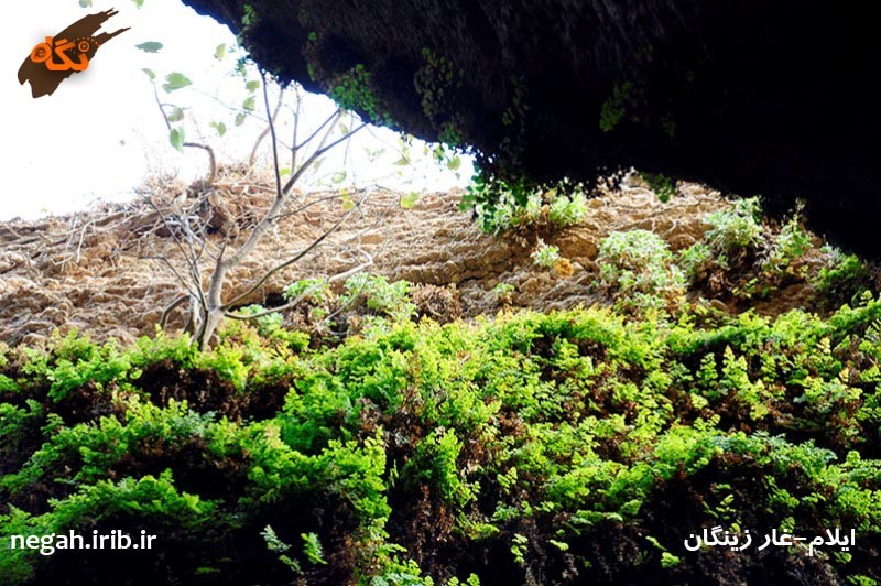 Zeinegan Cave