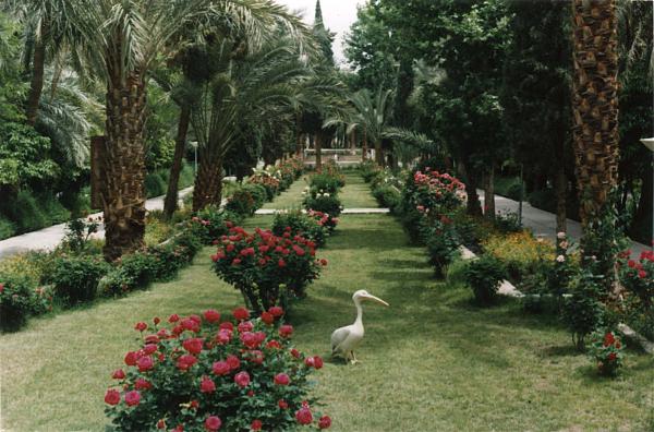 Golshan Garden, Tabas