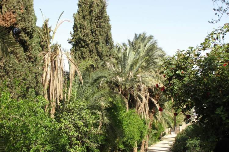 Golshan Garden, Tabas
