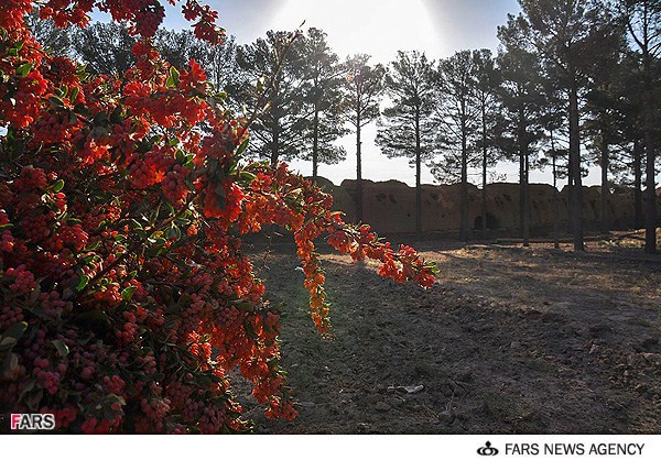 Moud Castle Garden